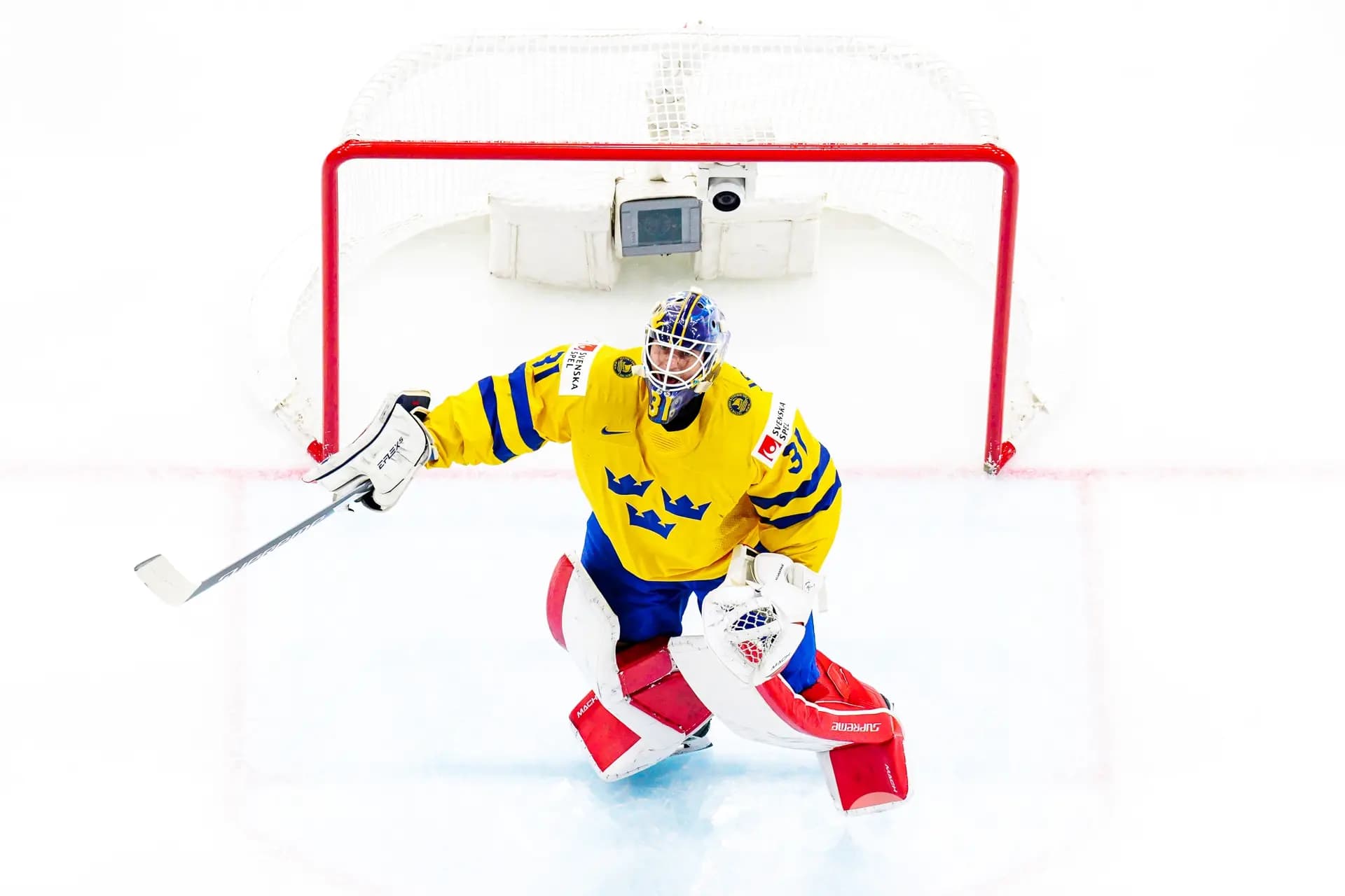 Team Sweden - Team France